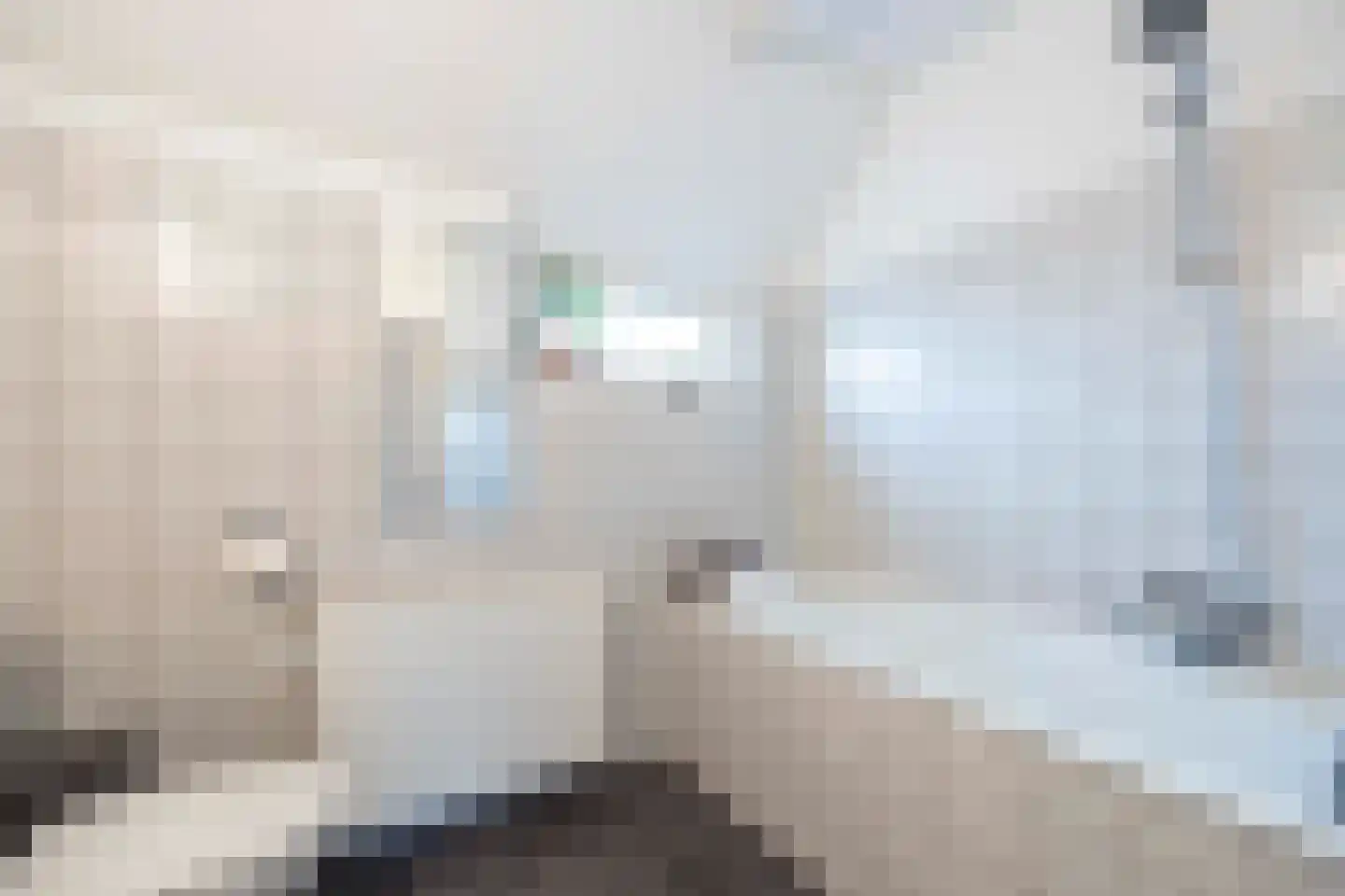 Dreischorstraat 39 Tilburg thumbnail 25