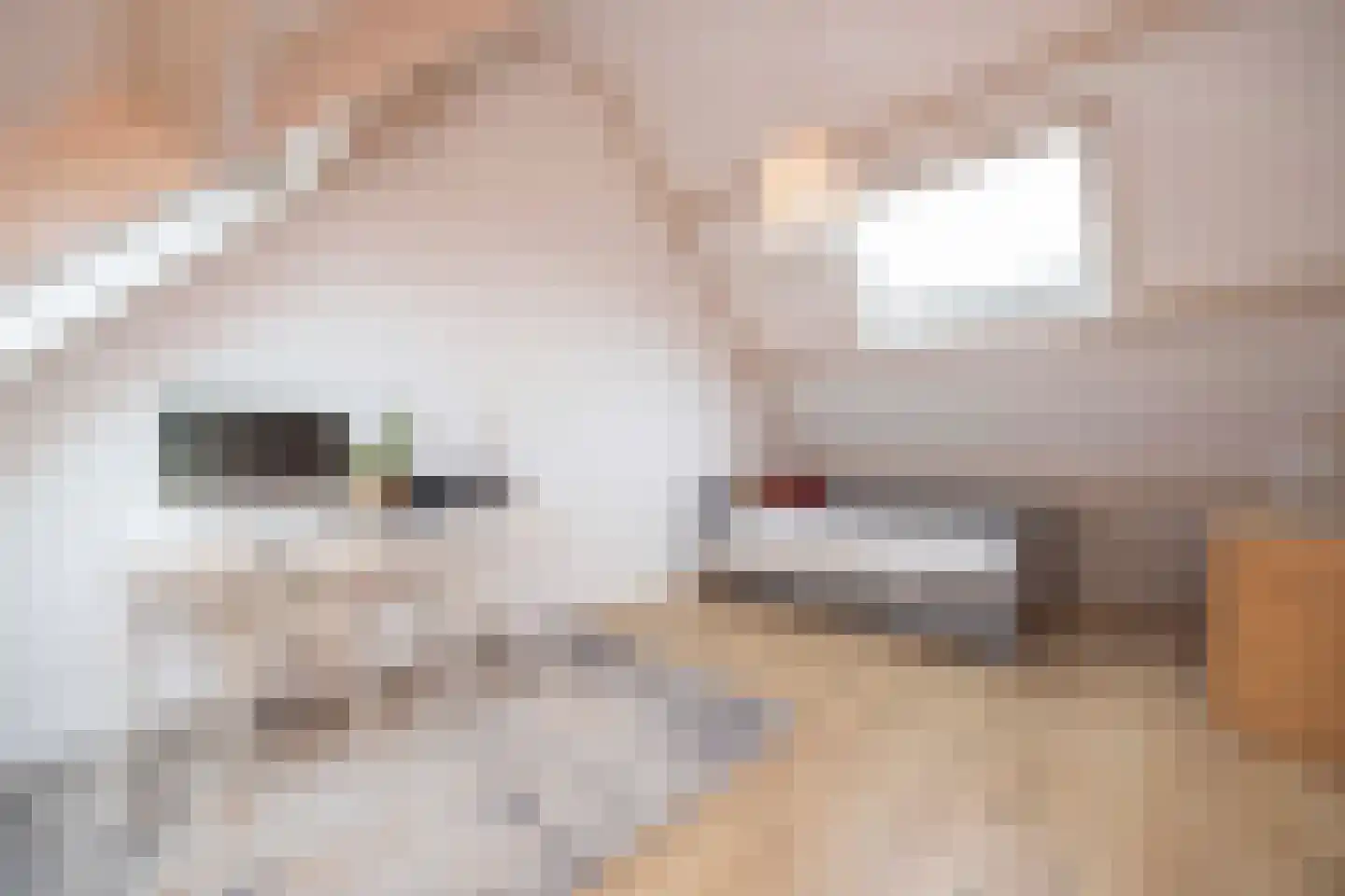 Dreischorstraat 39 Tilburg thumbnail 28