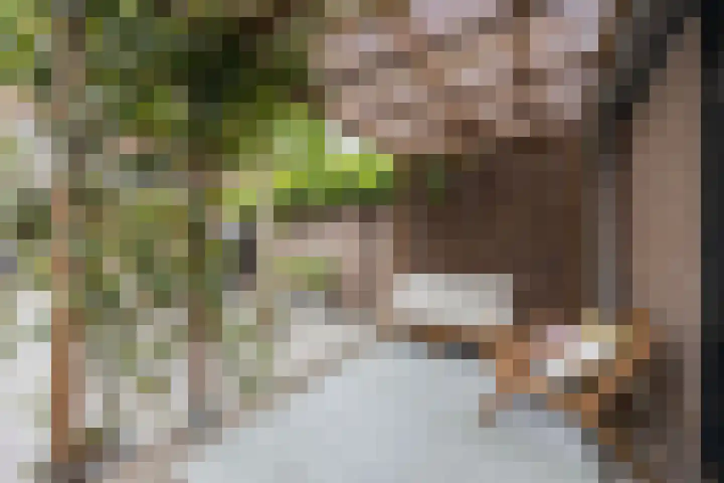 Dreischorstraat 39 Tilburg thumbnail 32