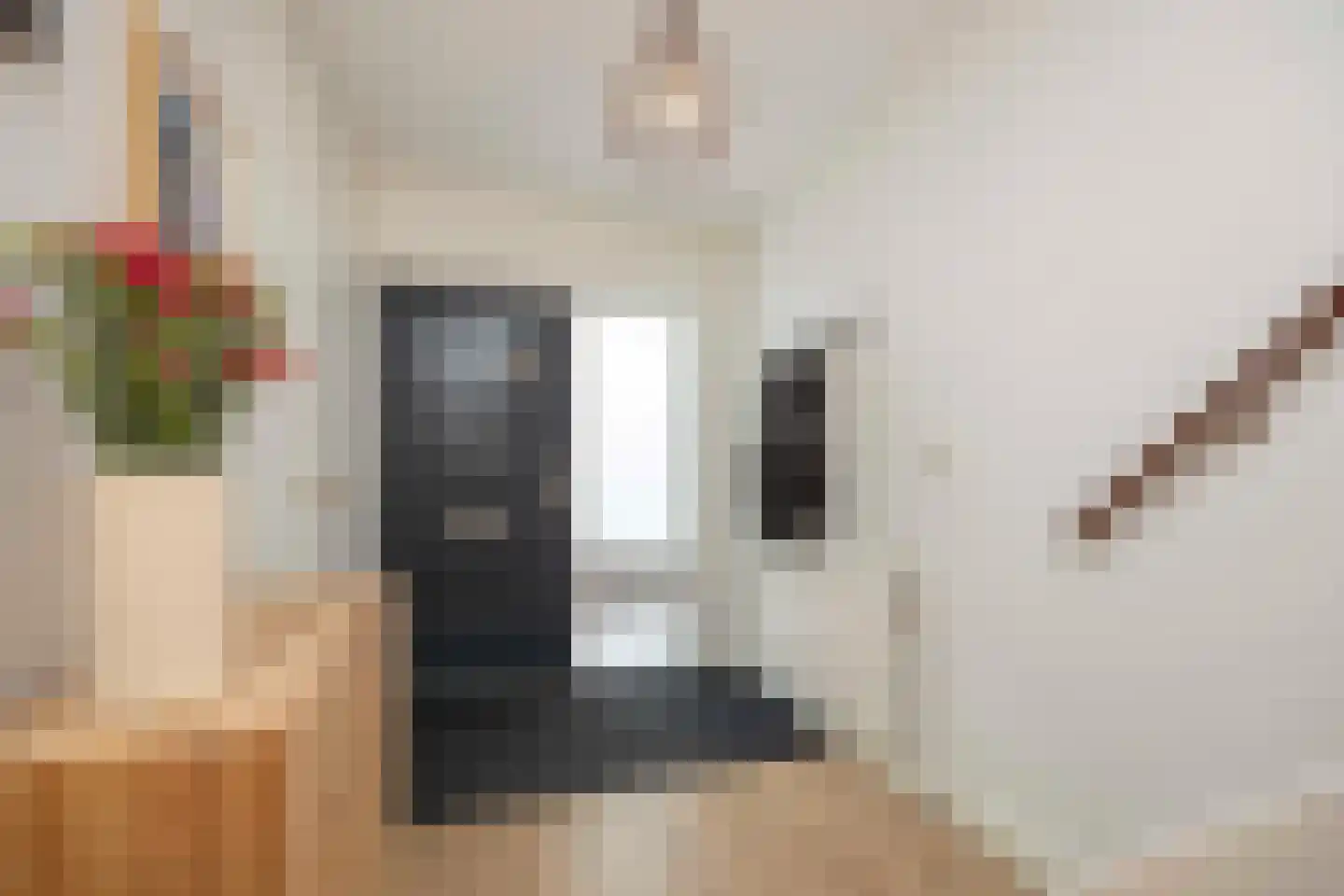 Dreischorstraat 39 Tilburg thumbnail 5