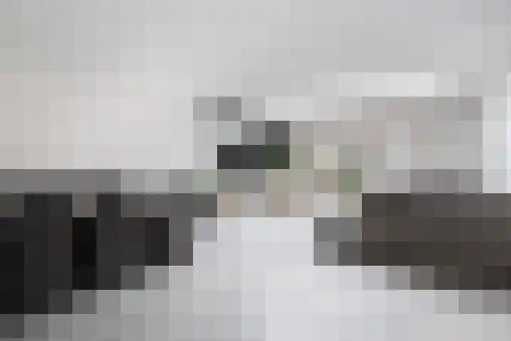 Dreischorstraat 45 Tilburg thumbnail 10