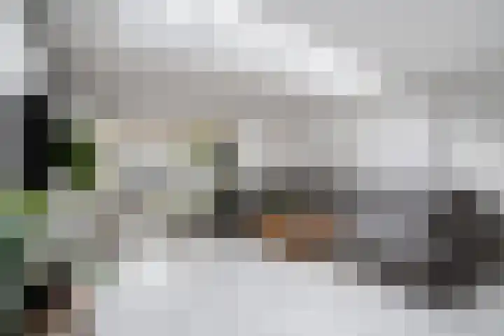 Dreischorstraat 45 Tilburg thumbnail 12