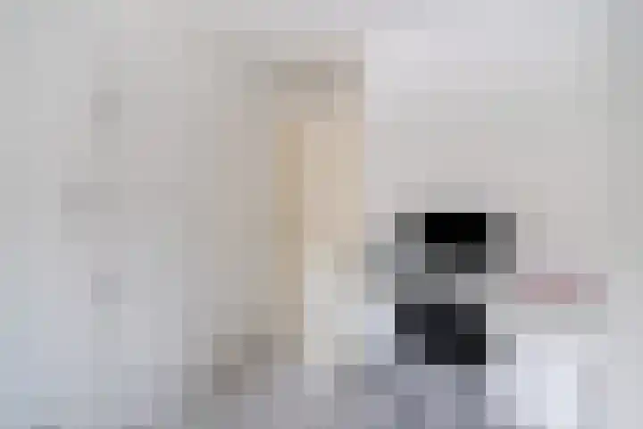 Dreischorstraat 45 Tilburg thumbnail 38