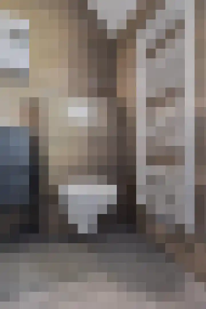 Dreischorstraat 48 Tilburg thumbnail 20