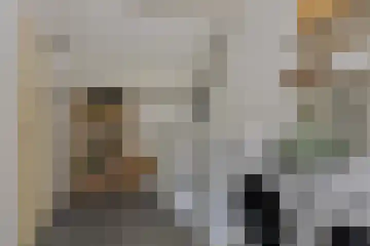 Dreischorstraat 48 Tilburg thumbnail 21