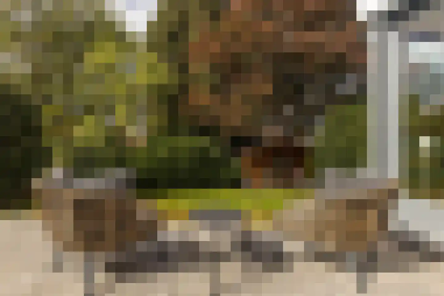 Dreissenlaan 13 Sittard thumbnail 30