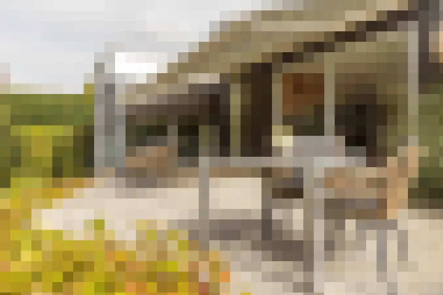Dreissenlaan 13 Sittard thumbnail 31