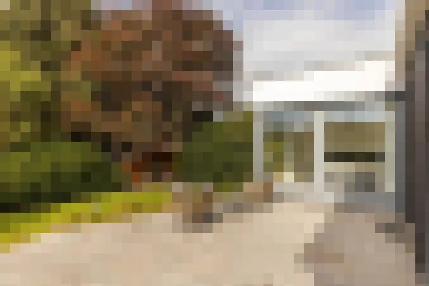 Dreissenlaan 13 Sittard thumbnail 32
