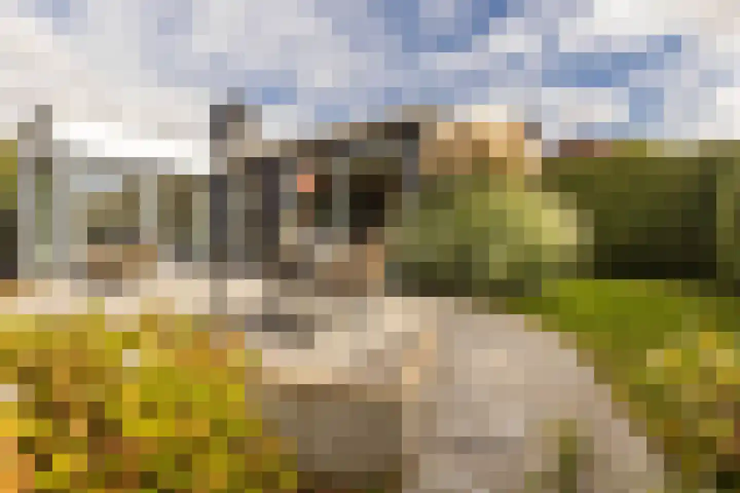 Dreissenlaan 13 Sittard thumbnail 35