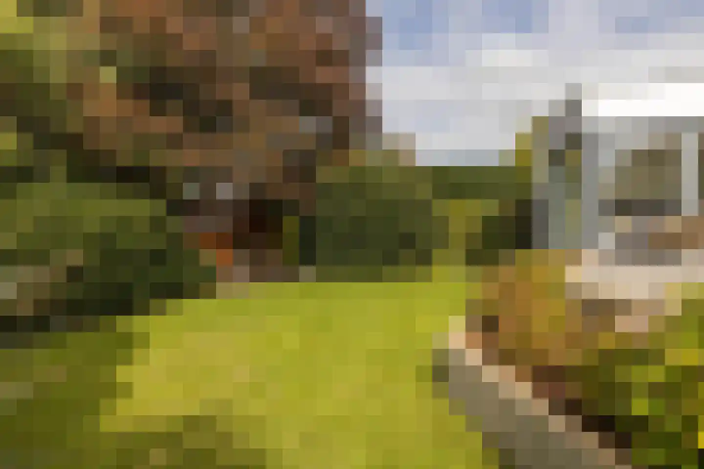 Dreissenlaan 13 Sittard thumbnail 36