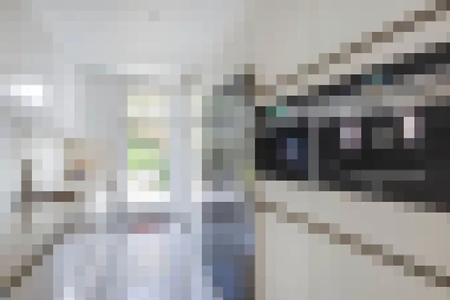 Dreissenlaan 13 Sittard thumbnail 4