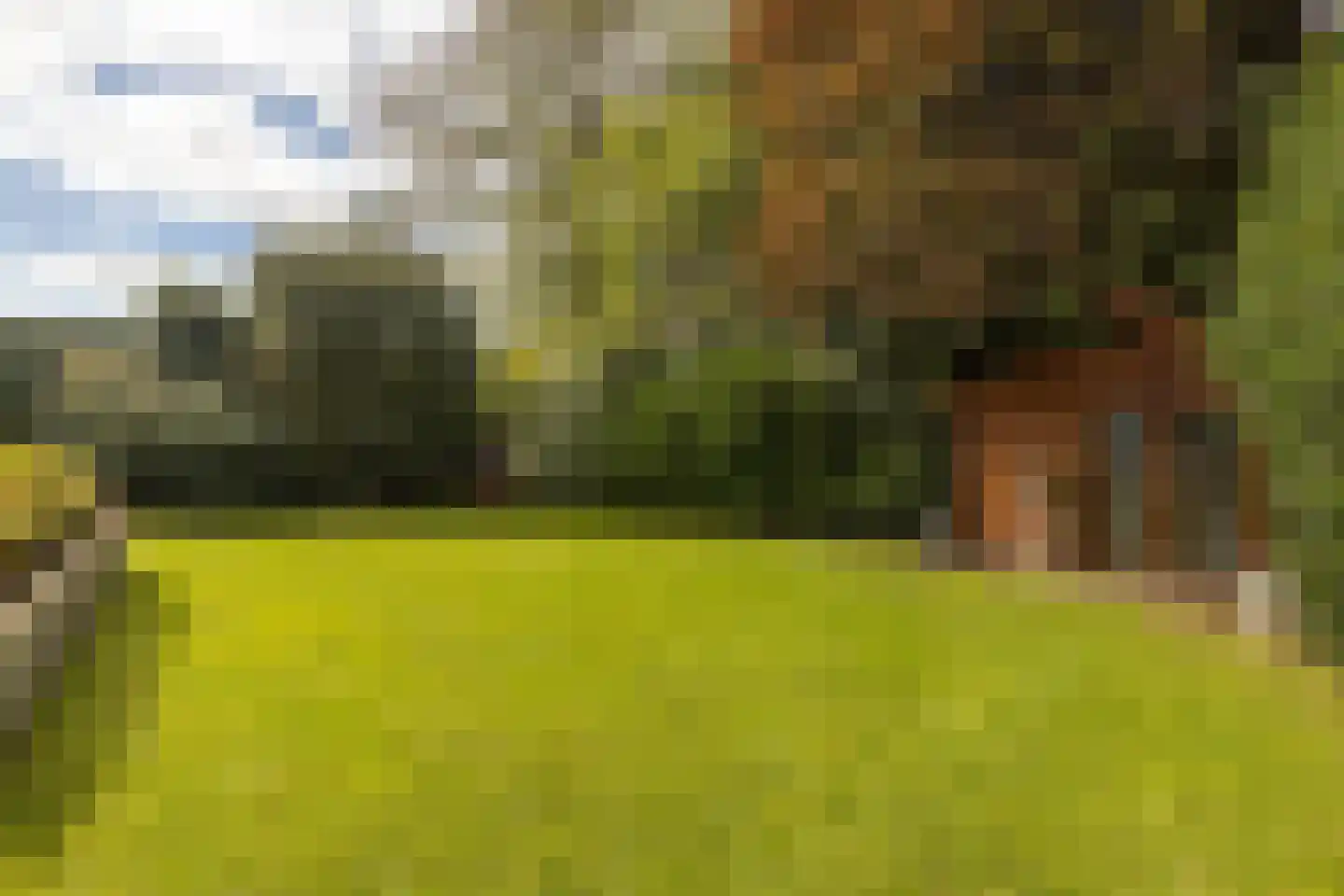 Dreissenlaan 13 Sittard thumbnail 42