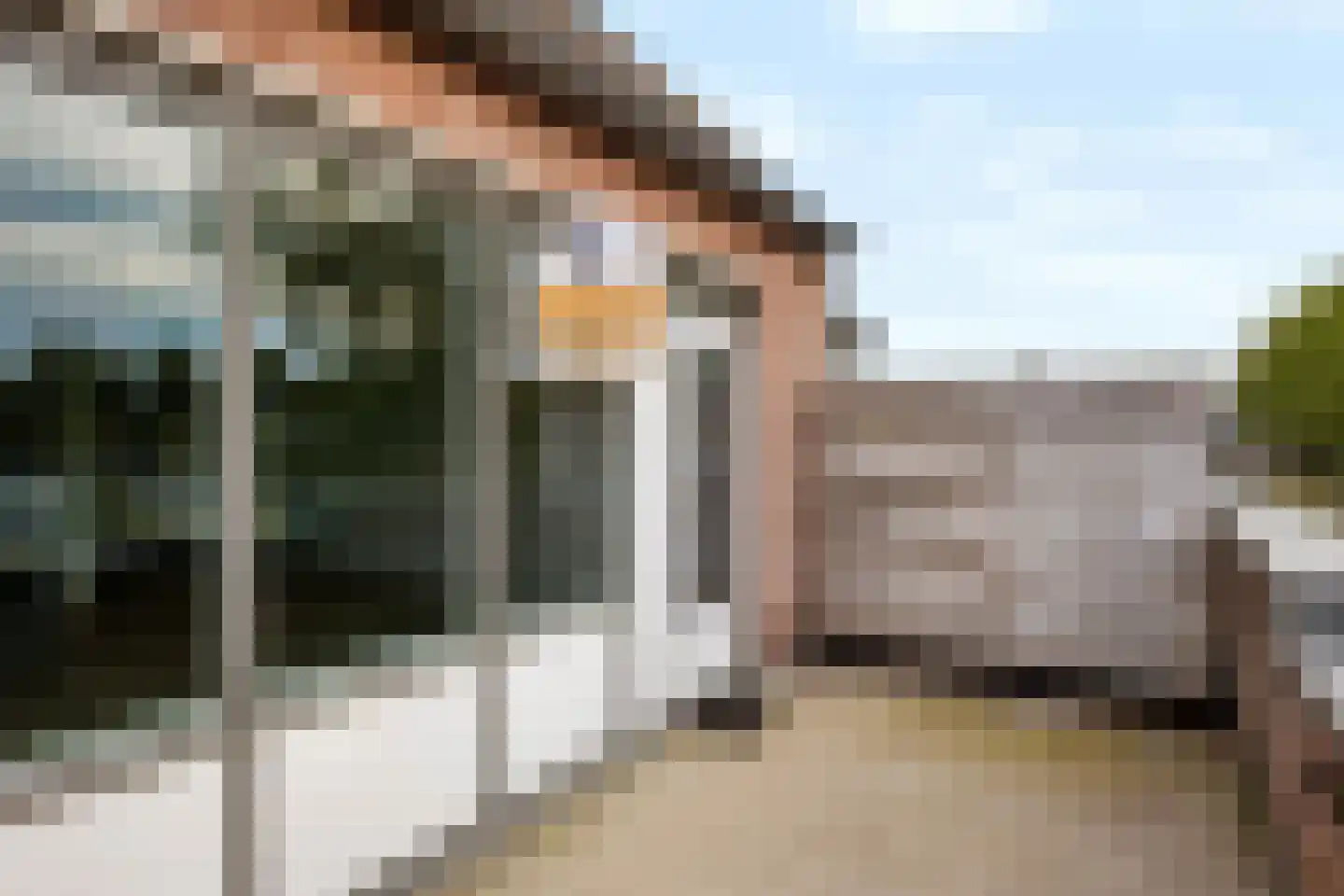 Dreiumme 2 Warnsveld thumbnail 12