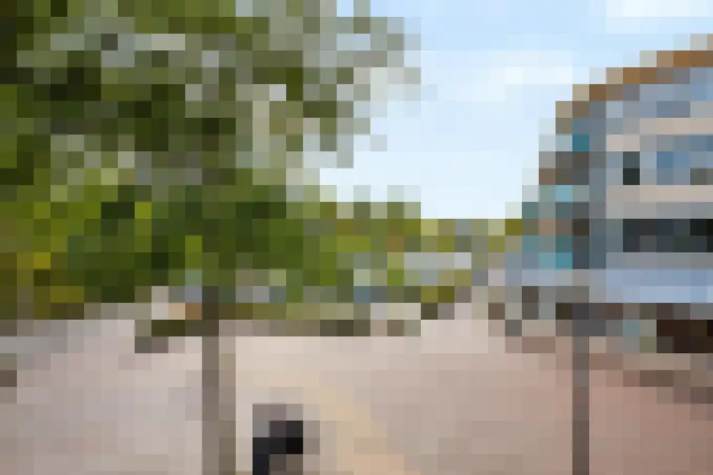 Dreiumme 2 Warnsveld thumbnail 14