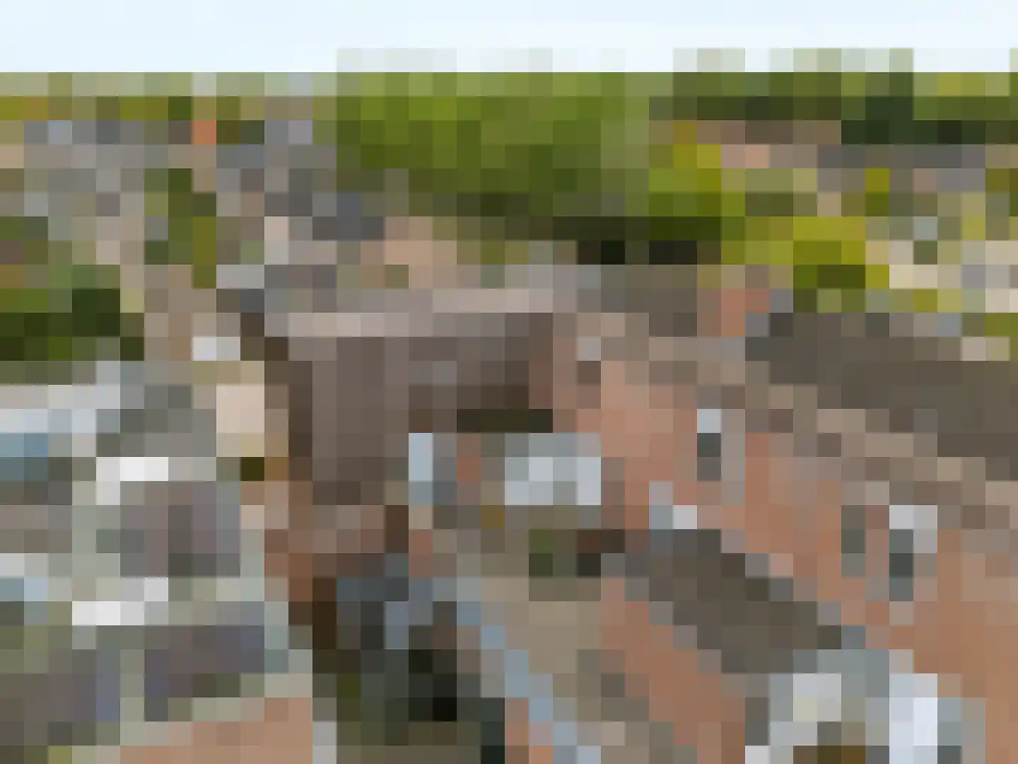 Dreiumme 2 Warnsveld thumbnail 32