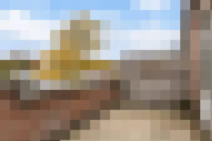 Dreiumme 6 Warnsveld thumbnail 18