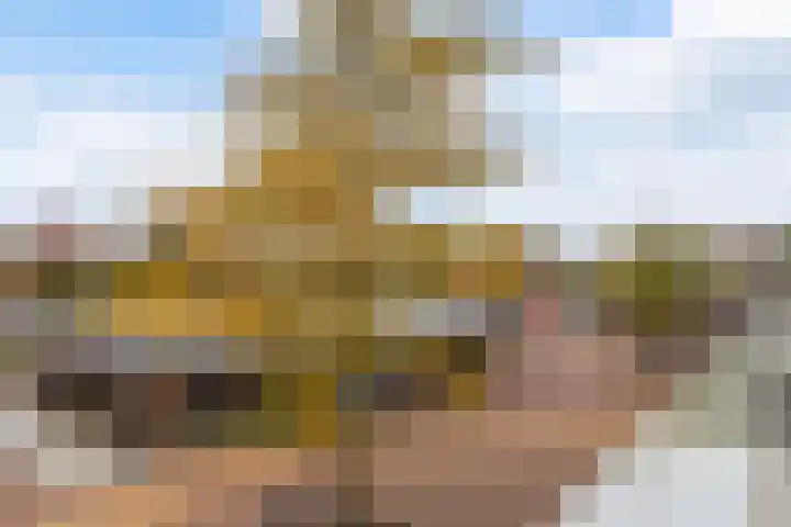 Dreiumme 6 Warnsveld thumbnail 20
