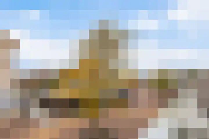 Dreiumme 6 Warnsveld thumbnail 21