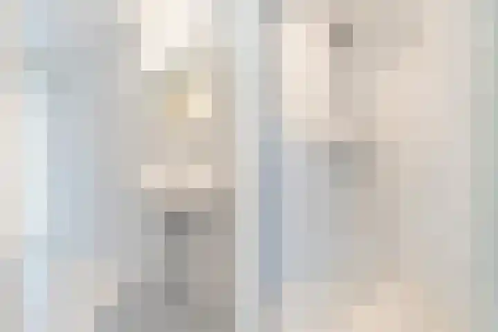Dreiumme 6 Warnsveld thumbnail 27