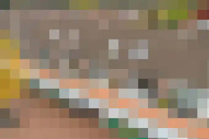 Dreiumme 6 Warnsveld thumbnail 32