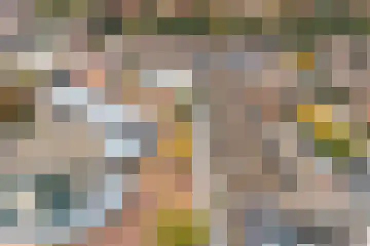 Dreiumme 6 Warnsveld thumbnail 33