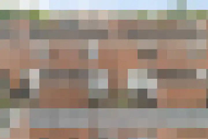 Dreiumme 6 Warnsveld thumbnail 34