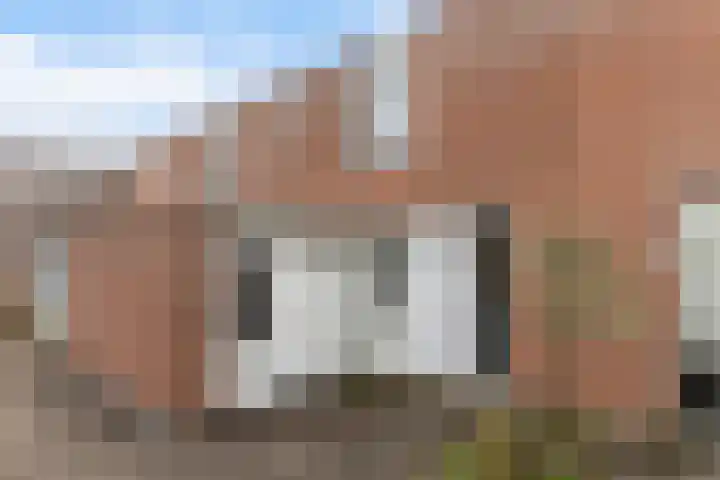 Dreiumme 6 Warnsveld thumbnail 6