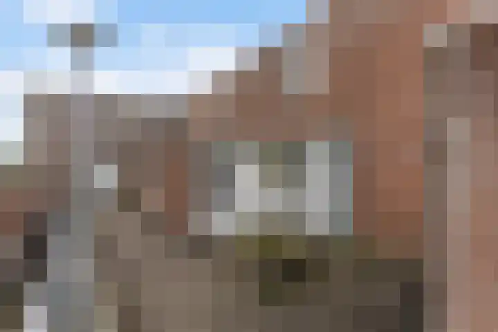 Dreiumme 6 Warnsveld thumbnail 7