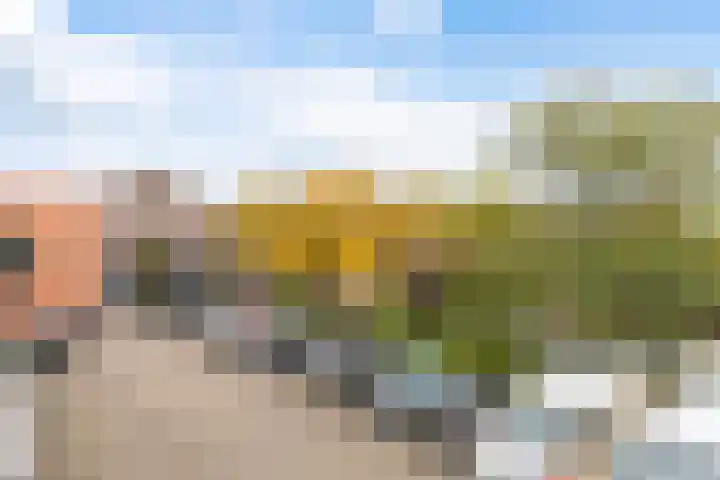 Dreiumme 6 Warnsveld thumbnail 8
