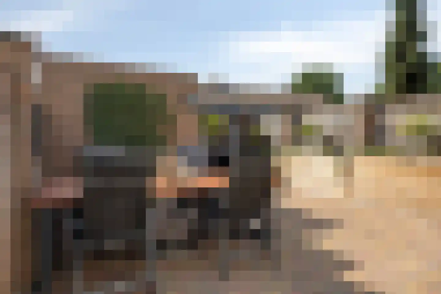 Drenckgaard 98 Maastricht thumbnail 34