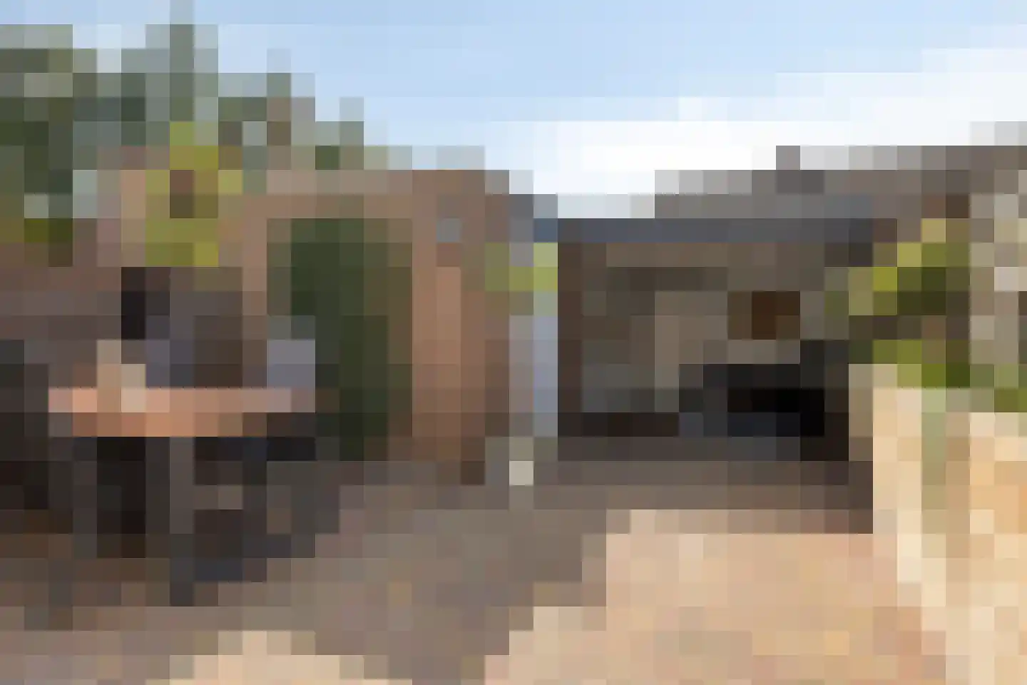 Drenckgaard 98 Maastricht thumbnail 35