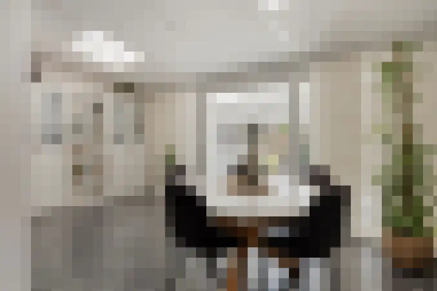 Drenckgaard 98 Maastricht thumbnail 5