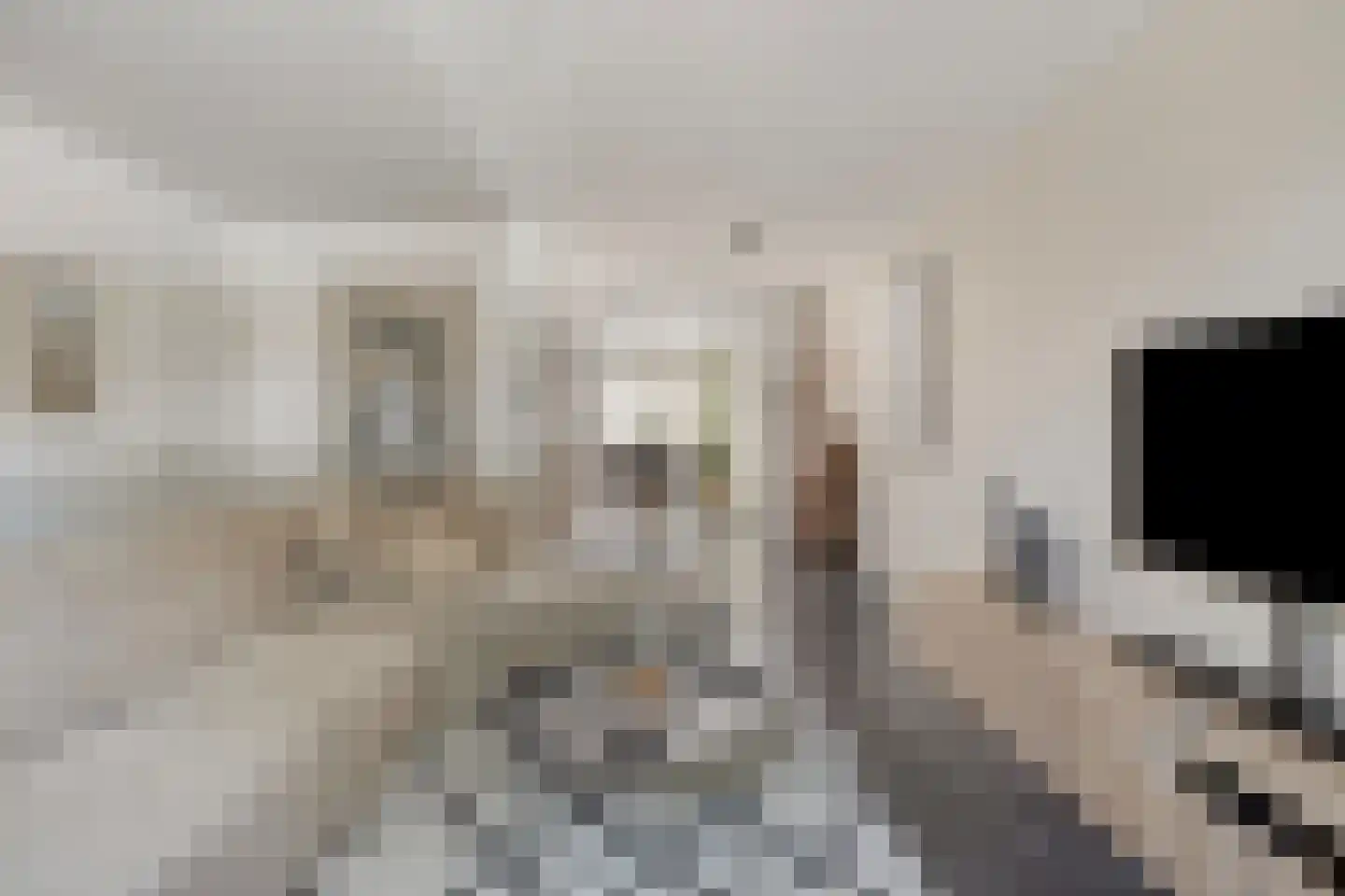 Drenckgaard 98 Maastricht thumbnail 7