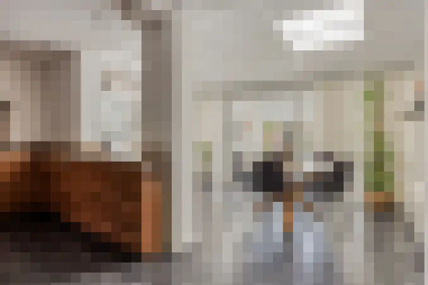 Drenckgaard 98 Maastricht thumbnail 9