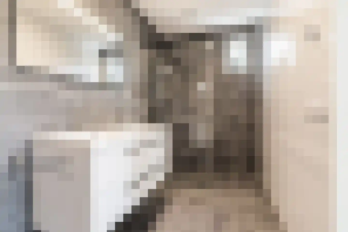 Drenkkuil 5 Oosterhout thumbnail 18
