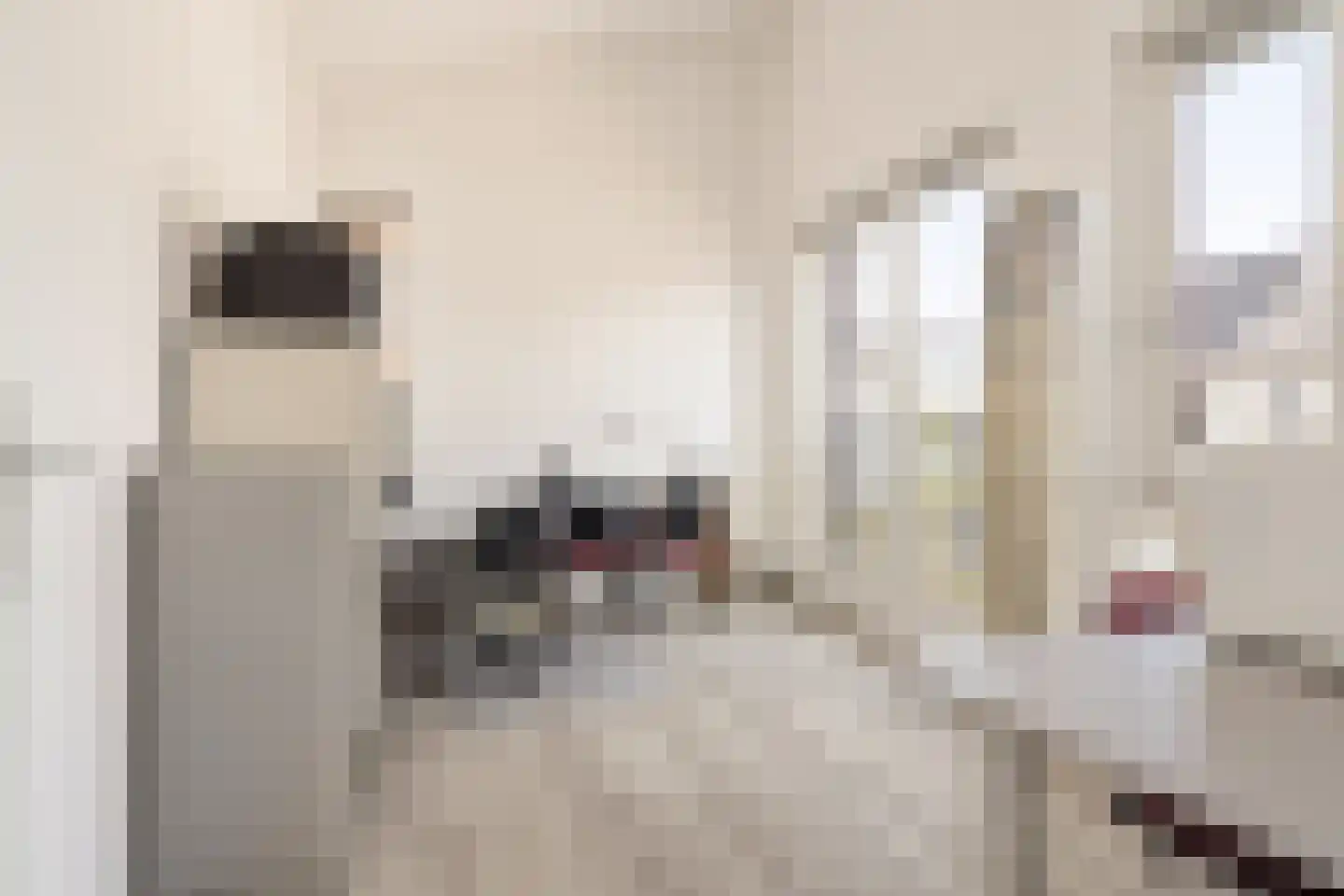 Drenkkuil 5 Oosterhout thumbnail 25