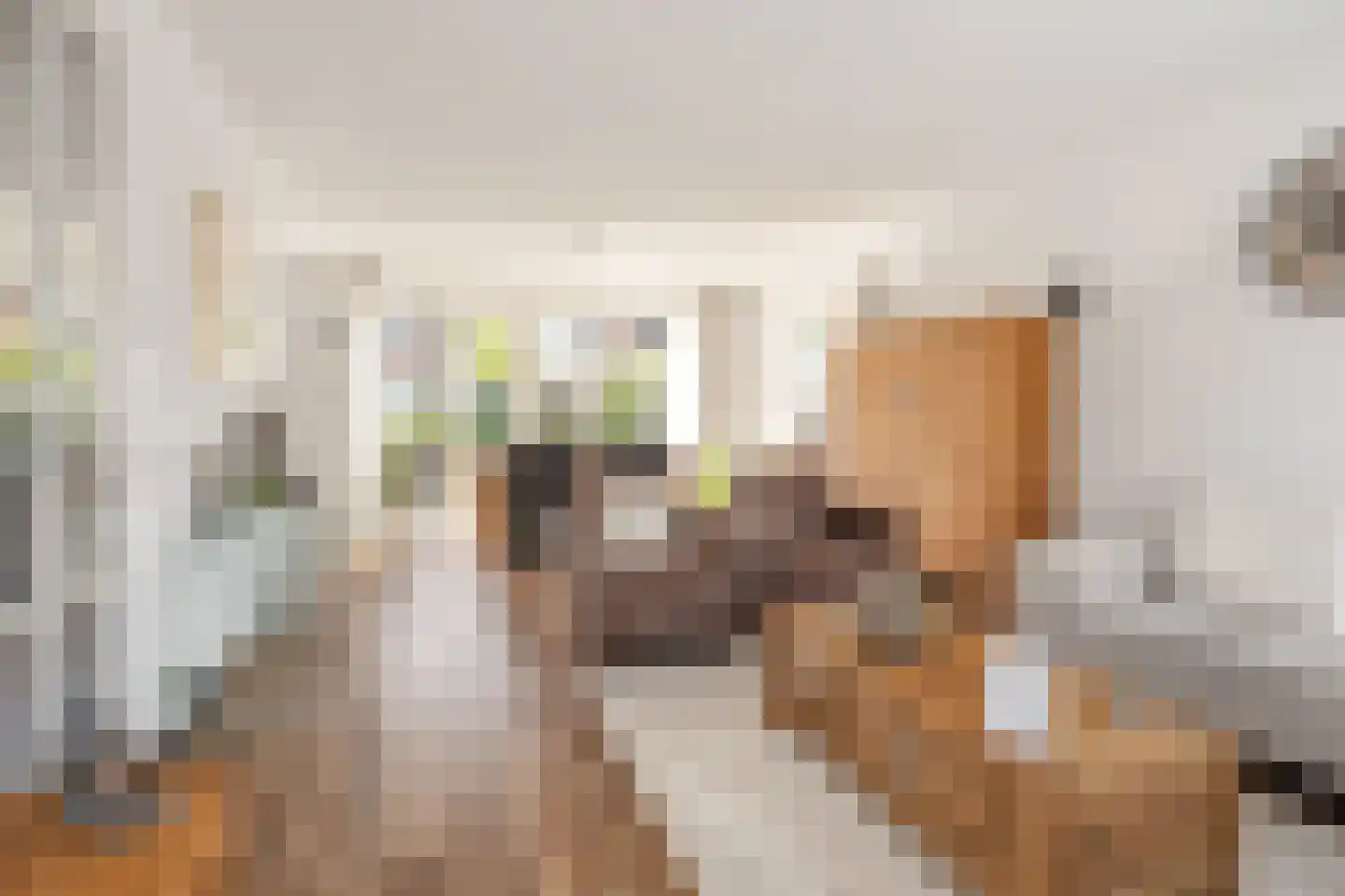 Drenkkuil 5 Oosterhout thumbnail 5