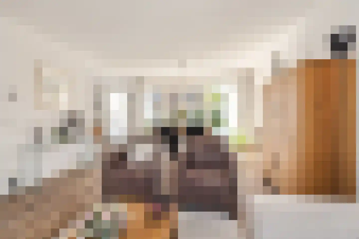 Drenkkuil 5 Oosterhout thumbnail 6