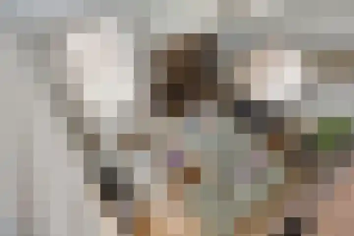 Drenkkuil 6 Oss thumbnail 15