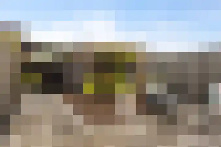 Drenkkuil 6 Oss thumbnail 16