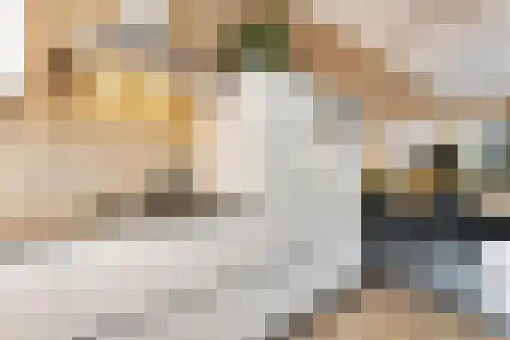Drenkkuil 6 Oss thumbnail 4