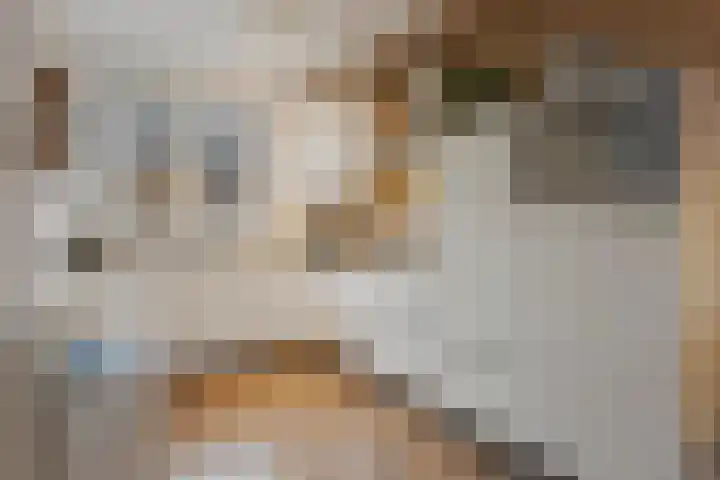 Drenkkuil 6 Oss thumbnail 5