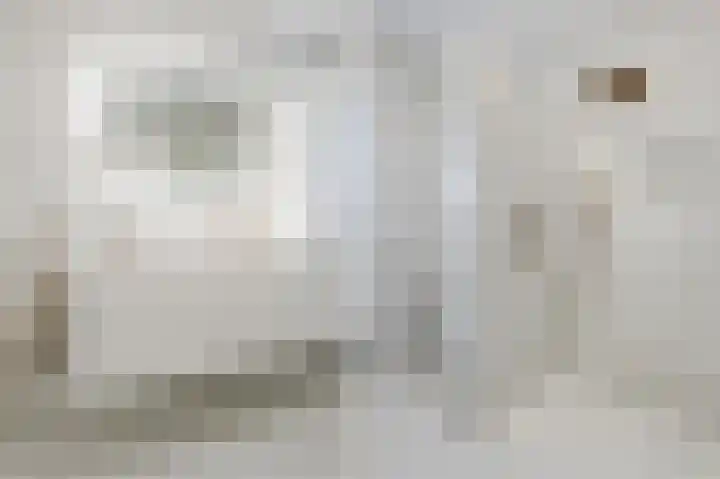Drenkkuil 9 Oss thumbnail 22