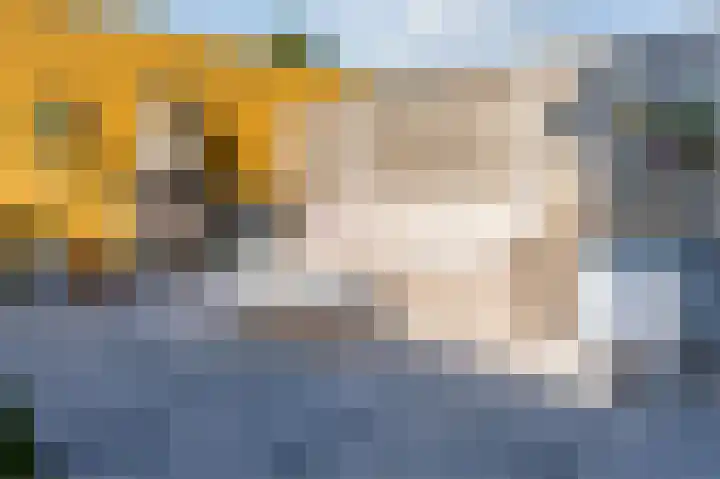 Drenkkuil 9 Oss thumbnail 31