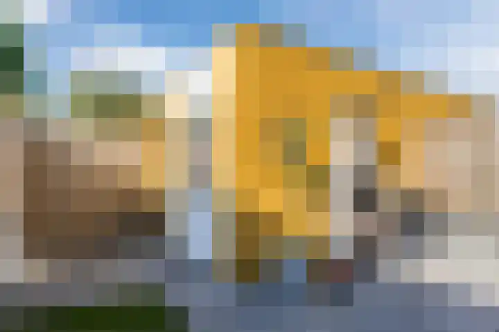 Drenkkuil 9 Oss thumbnail 33