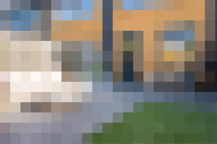 Drenkkuil 9 Oss thumbnail 34