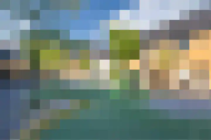 Drenkkuil 9 Oss thumbnail 41