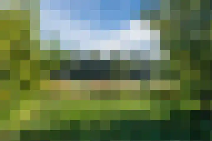 Drenkkuil 9 Oss thumbnail 42