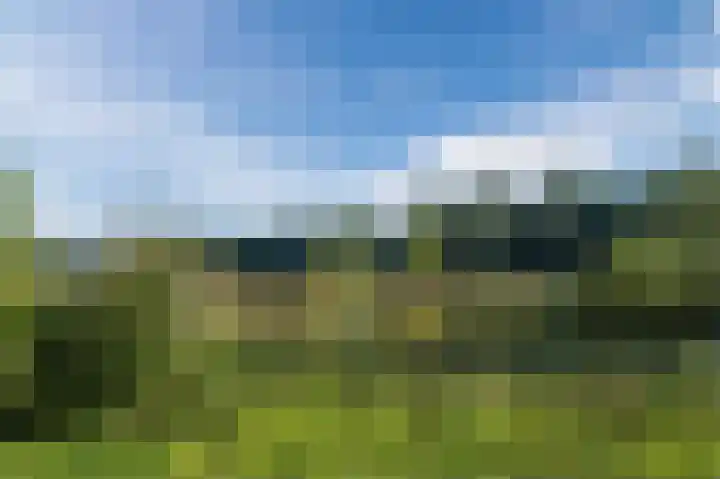 Drenkkuil 9 Oss thumbnail 43