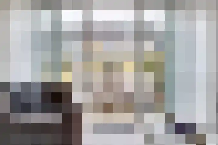 Drenkwaard 11 Zuidland thumbnail 11